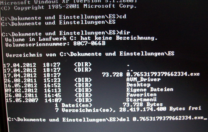 Screenshot Trojaner und Malware